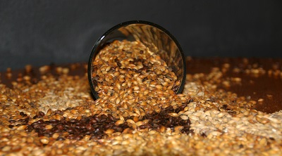 Maltglass